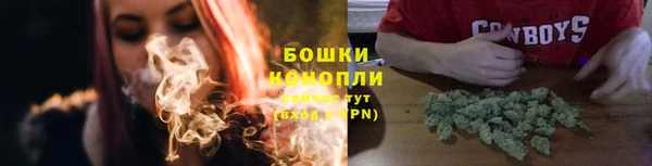 apvp Белокуриха
