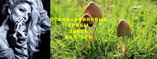 apvp Белокуриха