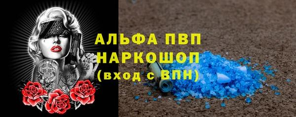 apvp Белокуриха