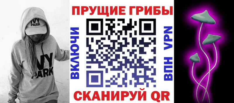 Галлюциногенные грибы Psilocybine cubensis  Воскресенск 